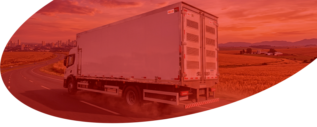 Transporte de Ovos férteis e Pintinhos