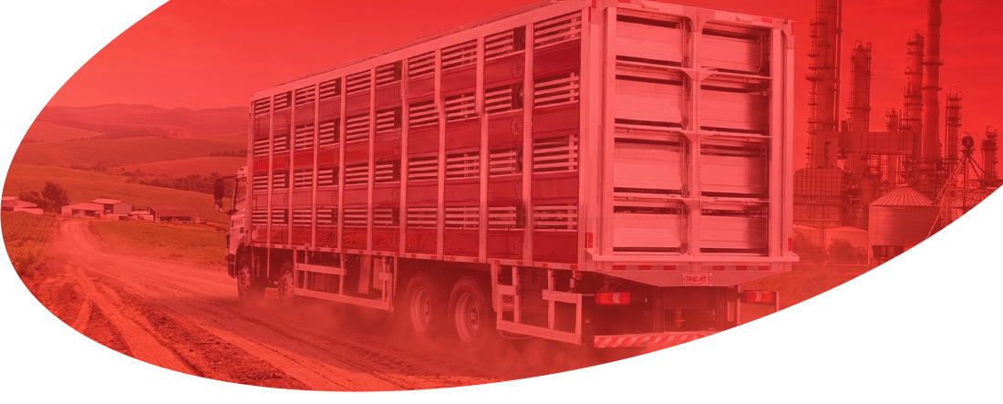 Carroceria para Transporte de Suínos