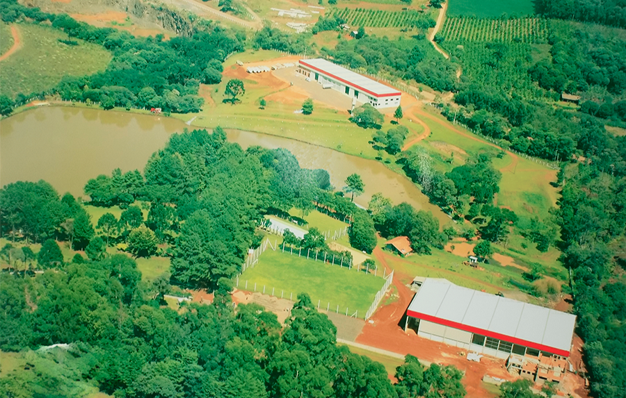 2006